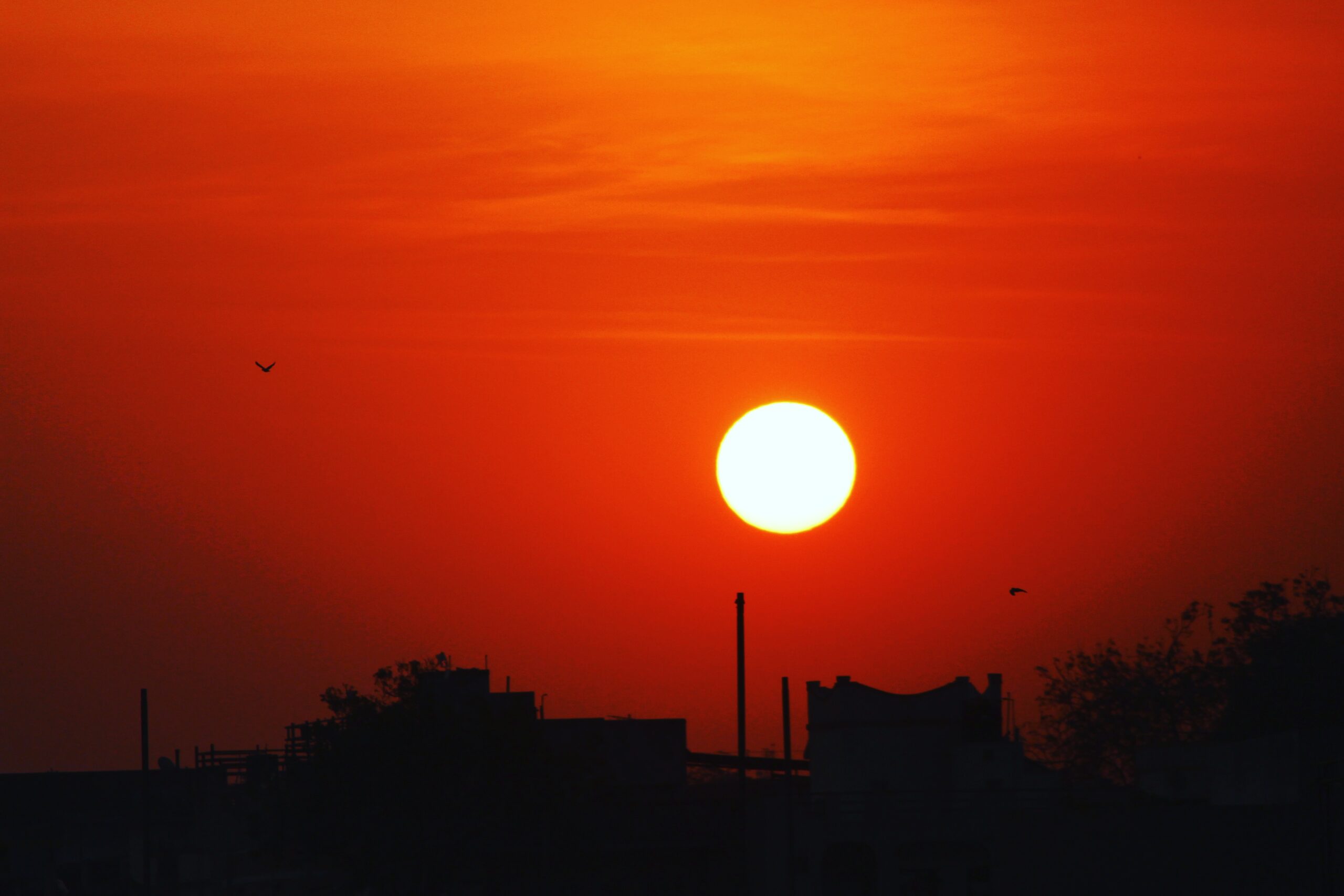 Chasing the Perfect Sunset in Lakshadweep