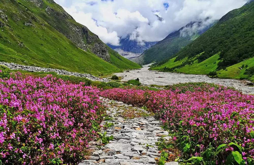 When is the best time to explore the Valley of Flowers in Uttarakhand?
