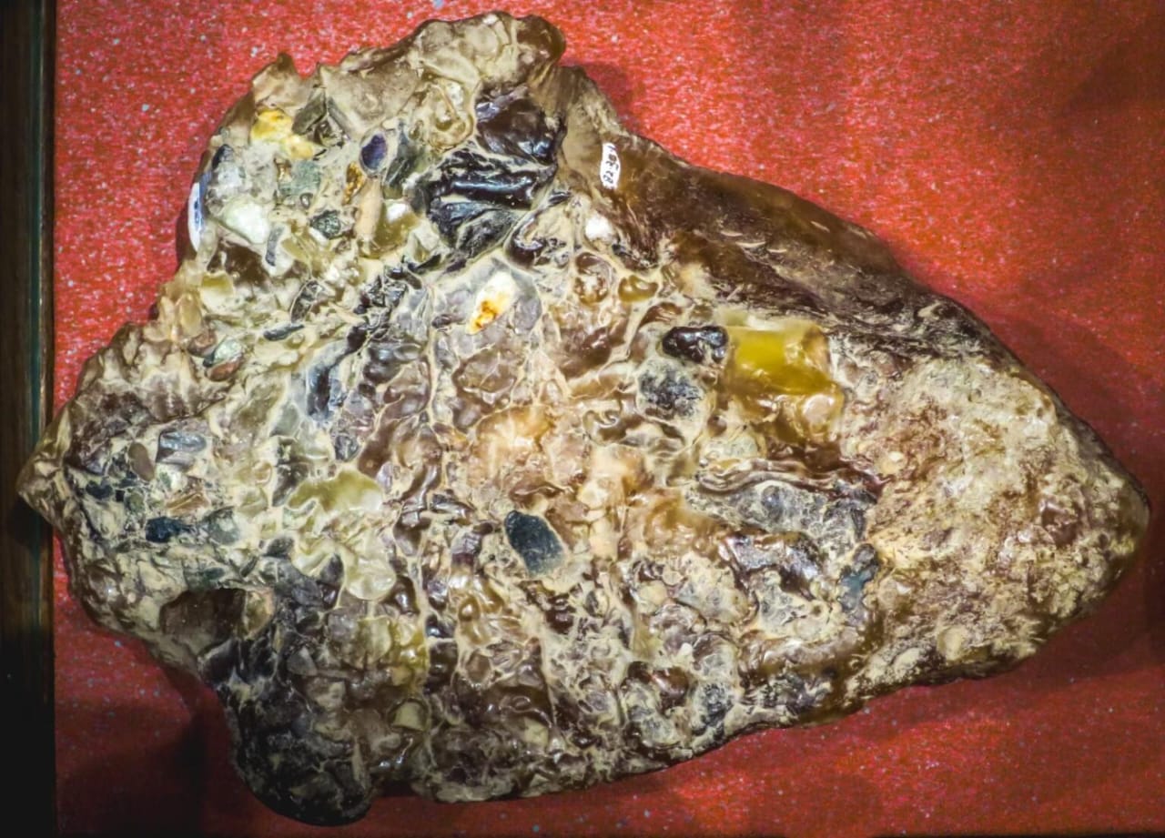 Massive Ambergris Seizure in Goa Uncovers Illegal Trade Networks