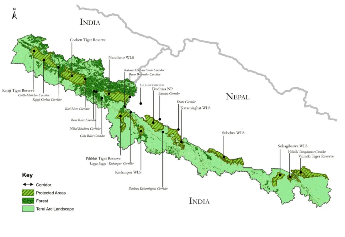How Wildlife Corridors Help Animals and Humans Coexist